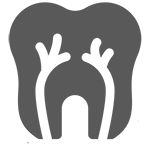 endodonzia dentista vermicino